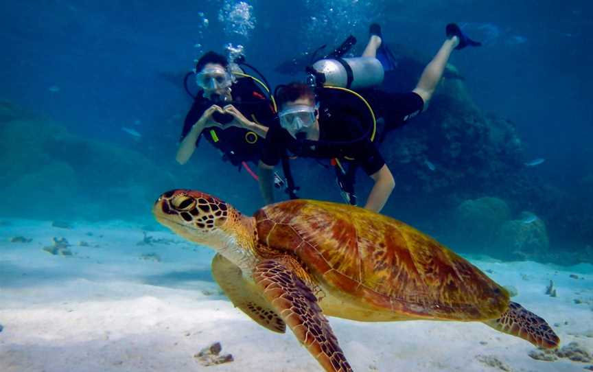 Blue Dive, Port Douglas, QLD