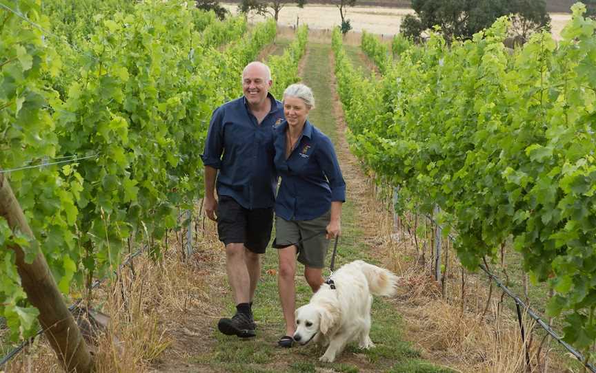 Wobbly Boot Vineyard - Wine and Vineyard Experiences, Campania, TAS