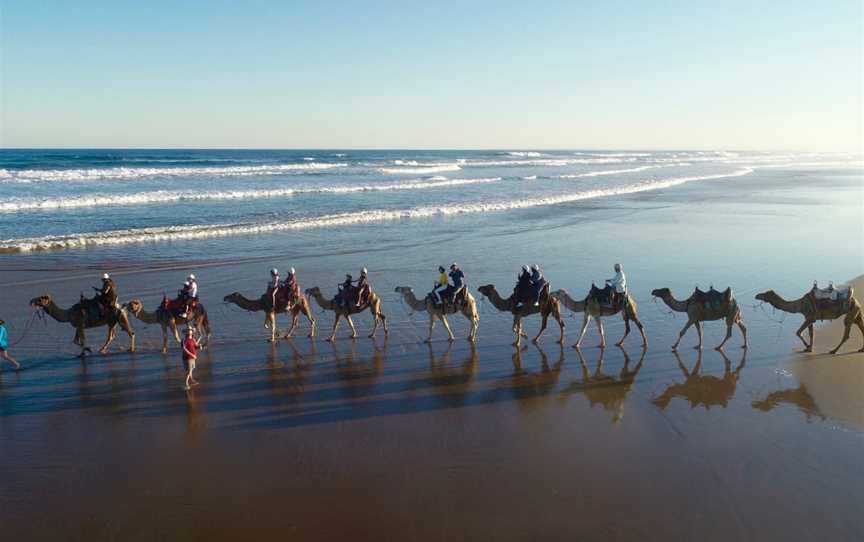 Oakfield Ranch Camel Rides, Anna Bay, NSW