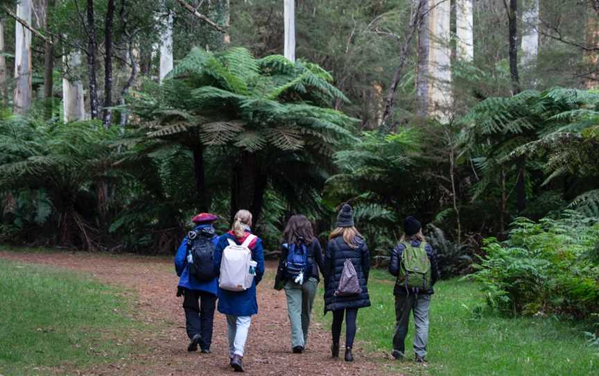 Temple4 Forest Therapy, Donvale, VIC