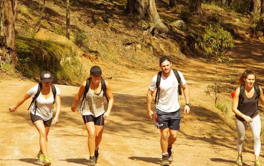 Peak Potential Adventures - Six Foot Track Trek, Charmhaven, NSW