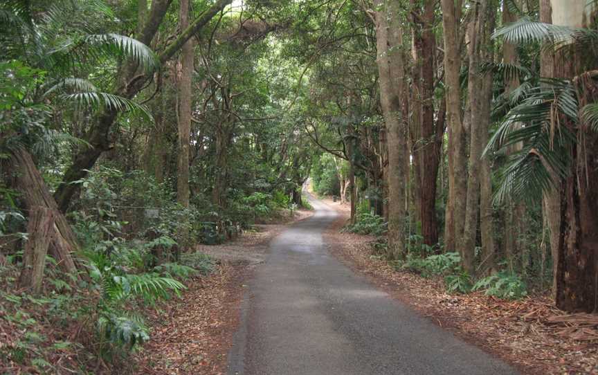 Overnight Wildfire Tours, Robina Town Centre, QLD