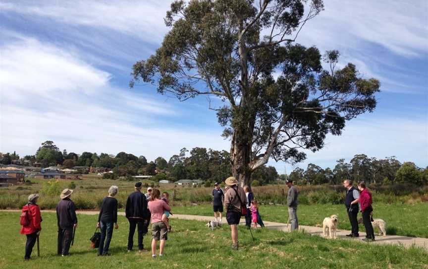 Drouin Self-guided Tree Walks, Drouin, VIC