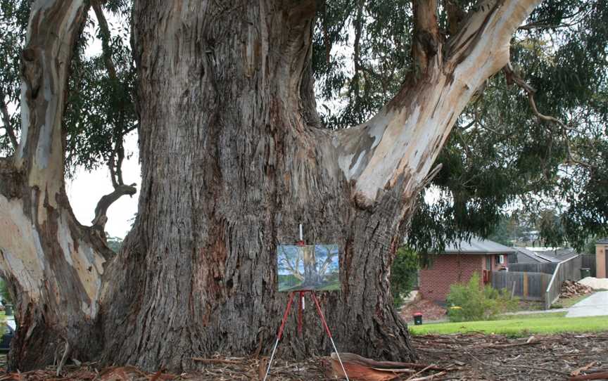 Drouin Self-guided Tree Walks, Drouin, VIC