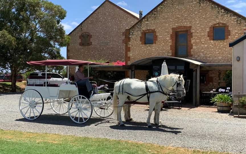 Carriage of Occasion Horse Drawn Wine Tour, Langhorne Creek, SA