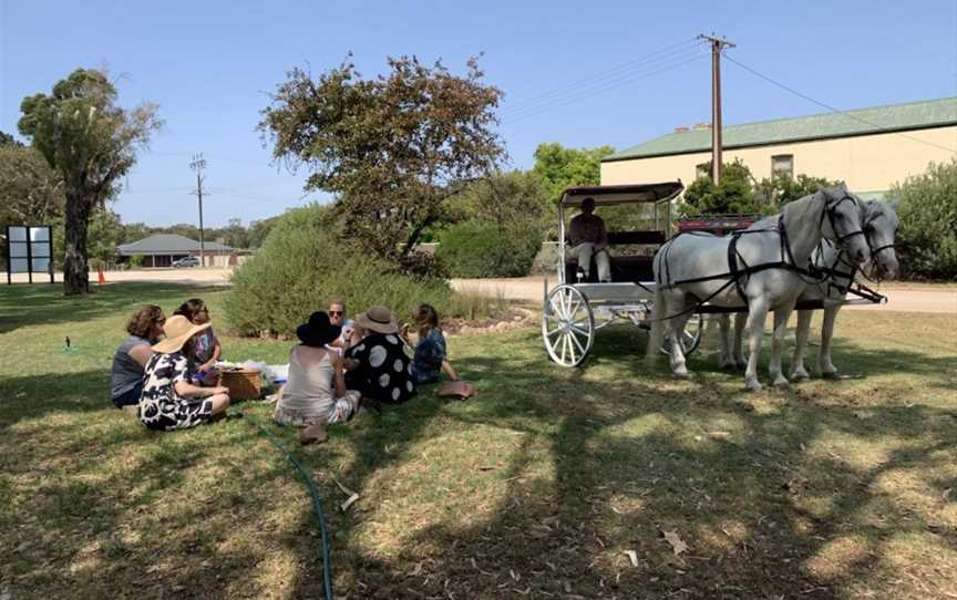 Carriage of Occasion Horse Drawn Wine Tour, Langhorne Creek, SA