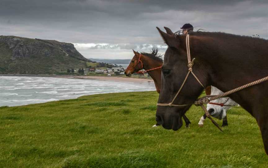 Australian Horse Adventures Tasmania, Deloraine, TAS