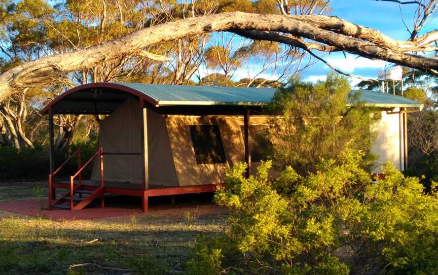 Gawler Ranges Wilderness Safaris, Wudinna, SA