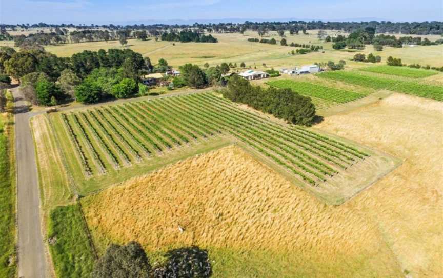 Wine Tours with Grape Escapes Canberra, Hawker, ACT