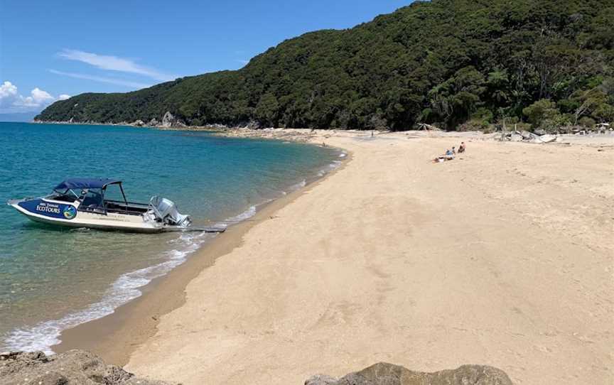 Abel Tasman Eco Tours, Lower Moutere, New Zealand