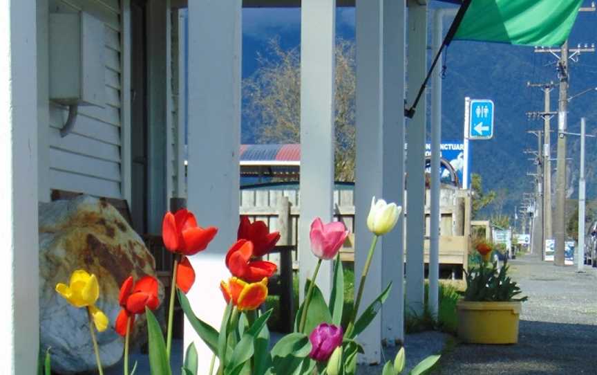 Alpine Fault Tours, Whataroa, New Zealand