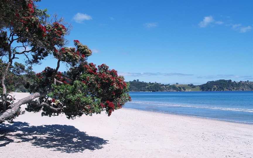 Ananda Tours, Waiheke Island, New Zealand