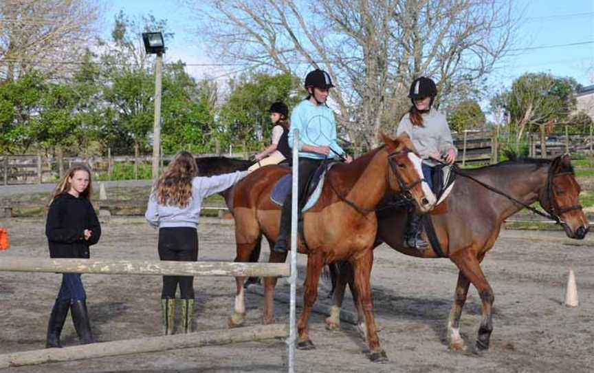 Auckland Equestrian Centre , Coatesville, New Zealand