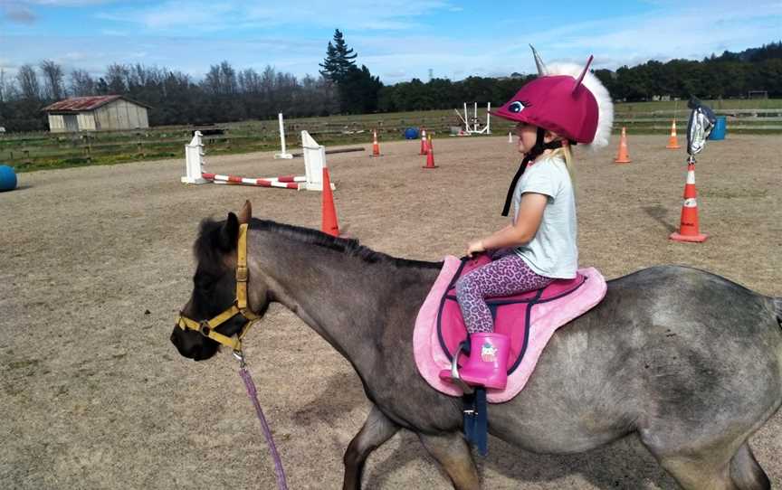 Bannockburn Riding Academy, Pokeno, New Zealand