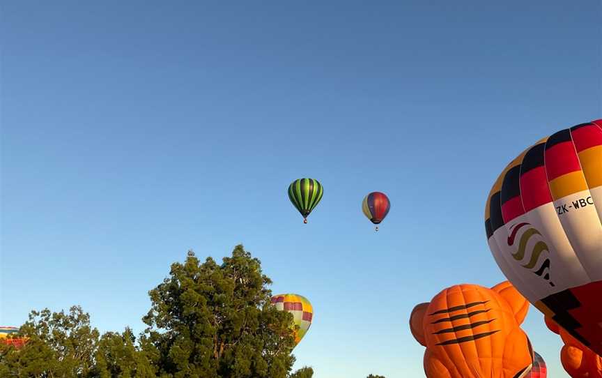 Balloons over Waikato, Hamilton Lake, New Zealand