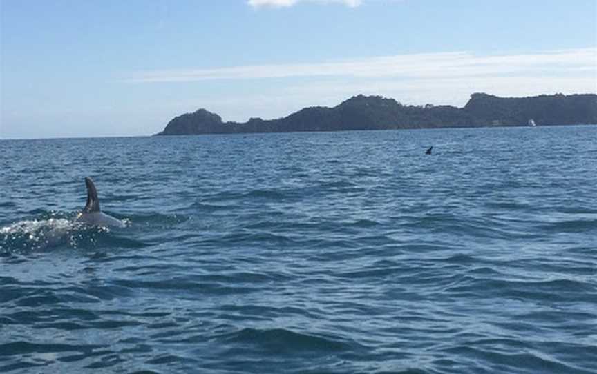 Bay of Islands Kayaking, Paihia, New Zealand