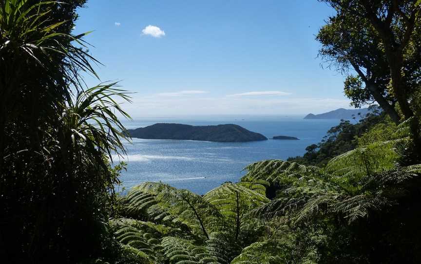 Beachcomber Cruises. Queen Charlotte Cruise & Track Adventures, Picton, New Zealand