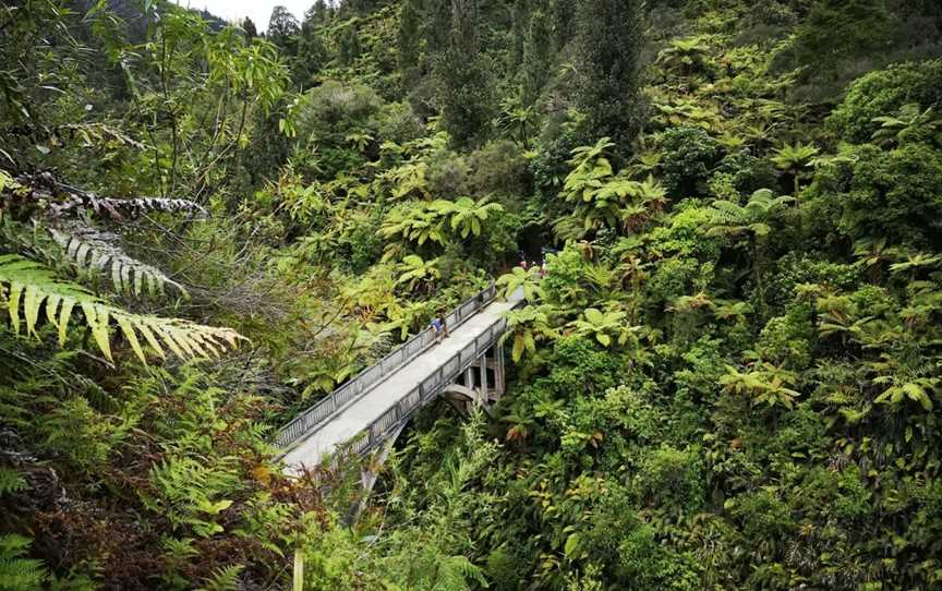 Bike Hike Stay, Tours and Packages, Leamington, New Zealand