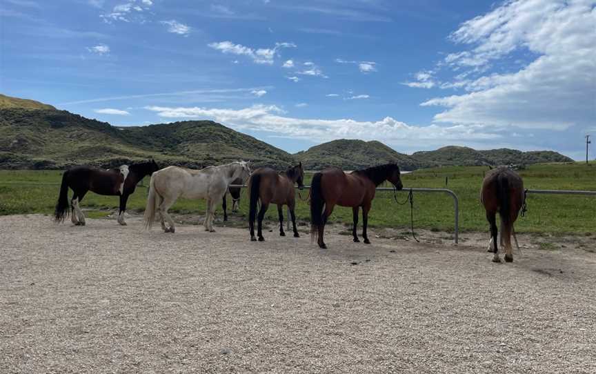 Cape Farewell Horse Treks, Baton, New Zealand