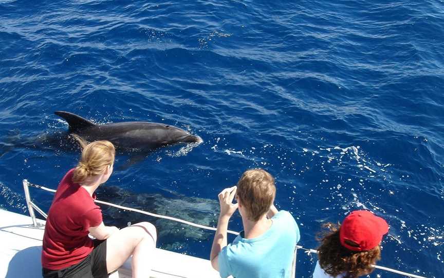 Carino Wildlife Cruises, Paihia, New Zealand