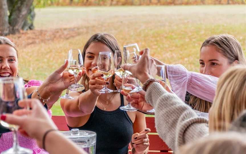 Cheeky Wine Tours, Parklands, New Zealand