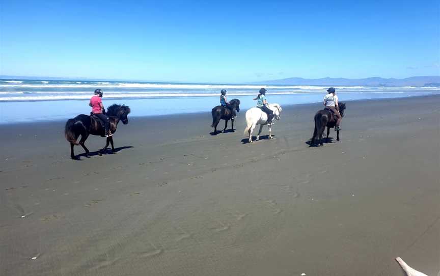 Christchurch Icelandic Horse Treks, Brooklands, New Zealand