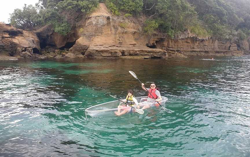 Clearyak, Leigh, New Zealand