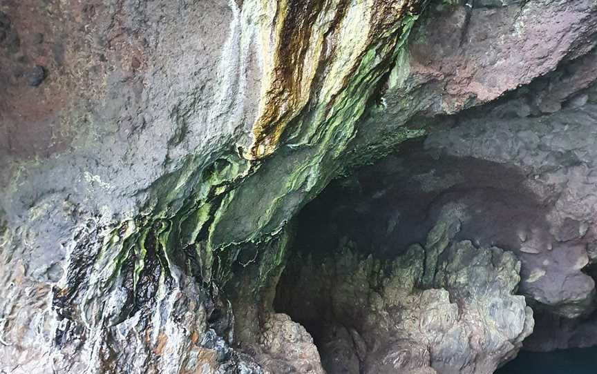 Coast up Close Scenic Tours, Akaroa, New Zealand