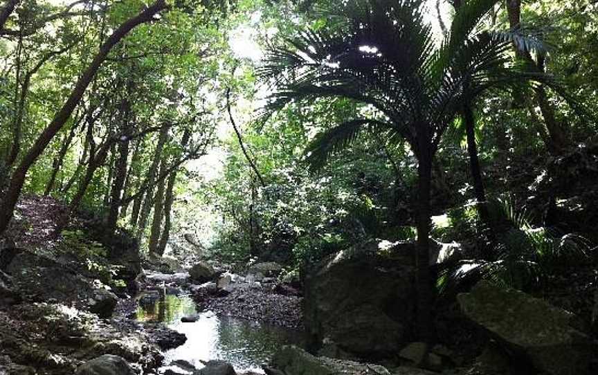 Coromandel Adventures, Coromandel, New Zealand