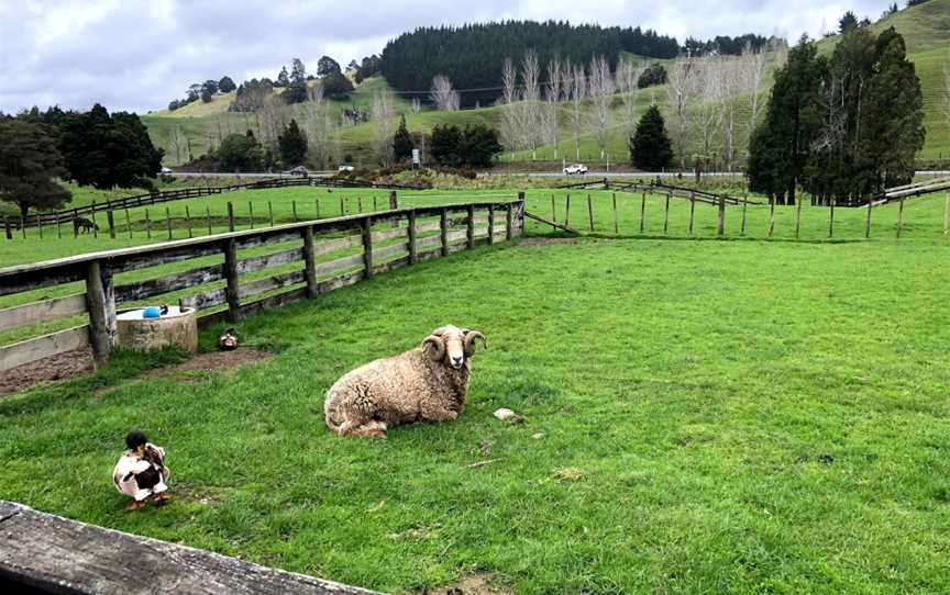 Coast to Coast Tours Ltd, Huapai, New Zealand