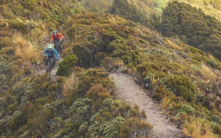 Cycle Journeys, Sydenham, New Zealand