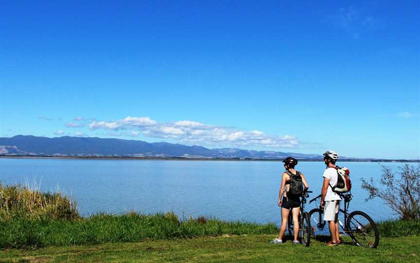 Cycle Remutaka, Days Bay, New Zealand