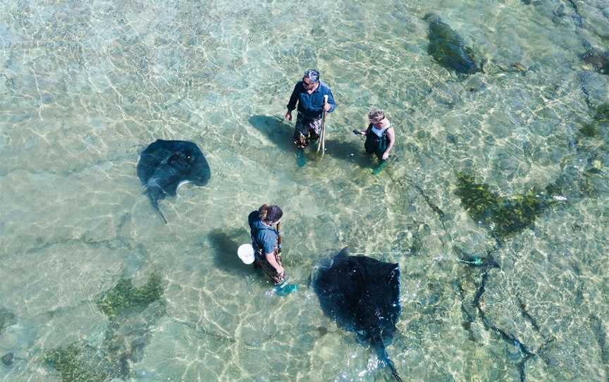 Dive Tatapouri, Gisborne, New Zealand