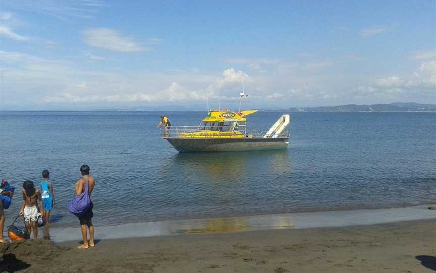 Whale Island Tours, Whakatane, New Zealand