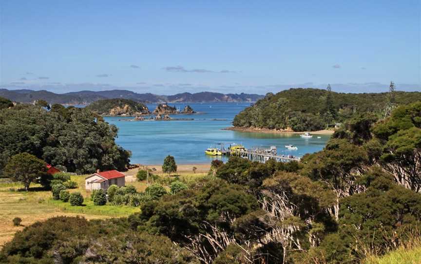 Dolphin Discoveries, Paihia, New Zealand