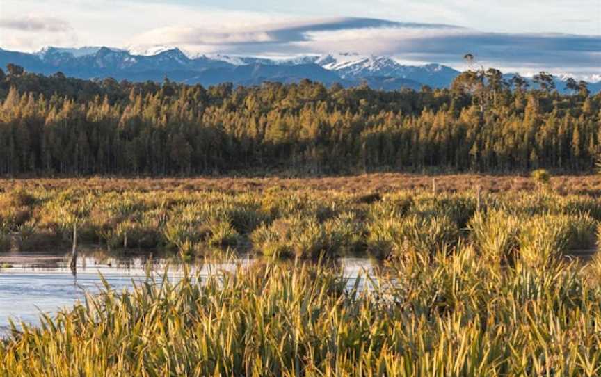 Eco Boat Tour, Fergusons, New Zealand