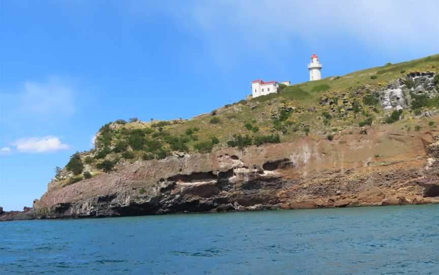 Eden Wildlife Cruises & Sea Kayaking, Dunedin, New Zealand