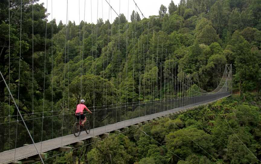 Epic Timber Trail Shuttles & Bike Hire, Ongarue, New Zealand