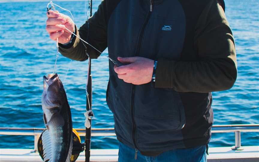 Ezifish Charters, Dunedin, New Zealand