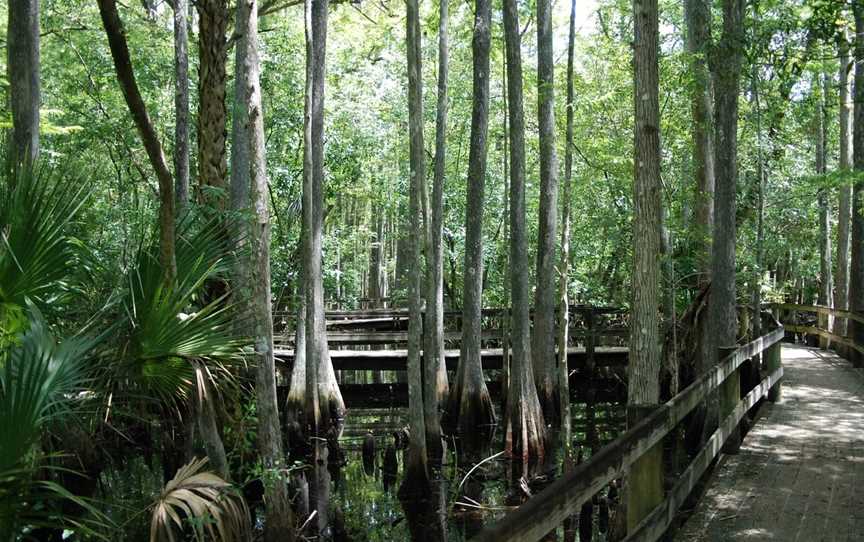 Foris Eco-Tours, Rotorua, New Zealand