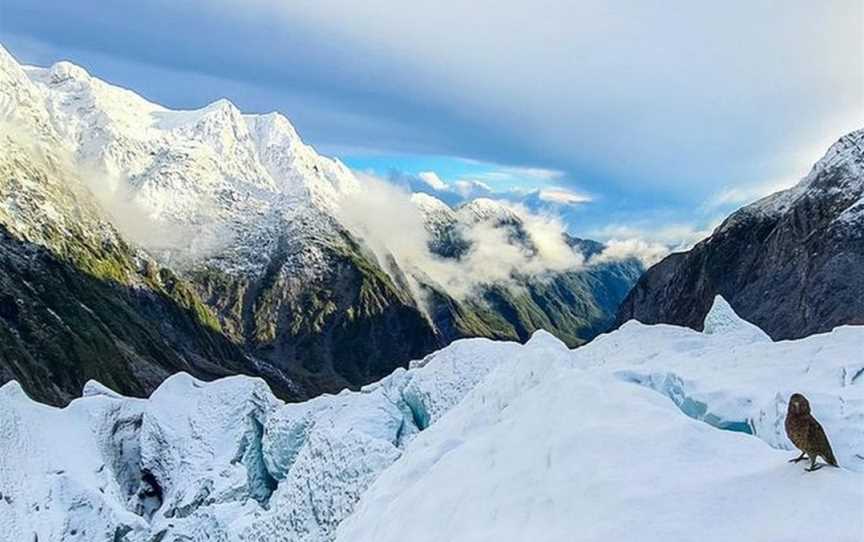 Franz Josef Glacier Guides, Fergusons, New Zealand