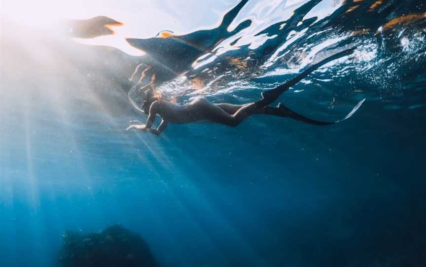 Freedive Aotearoa, Tutukaka, New Zealand