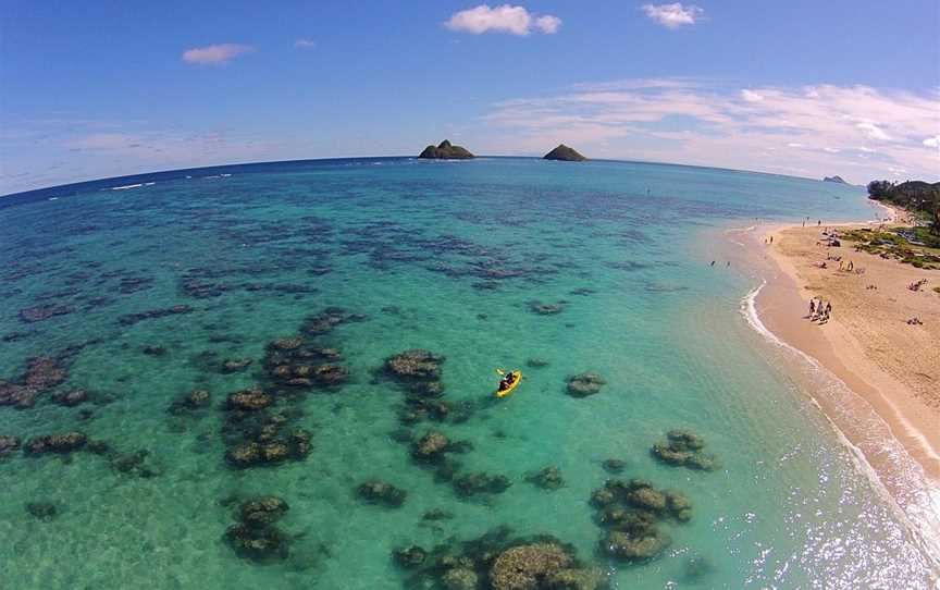 Gannet Beach Adventures, Clifton, New Zealand