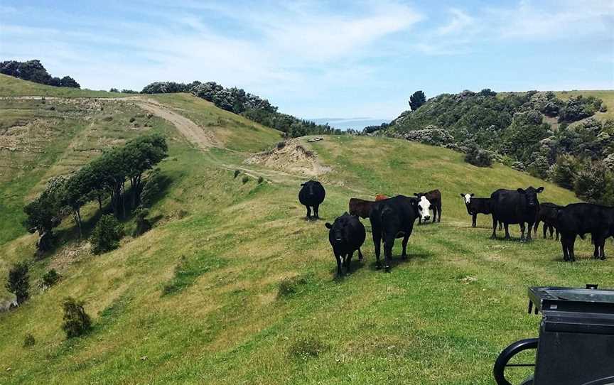 Glenstrae Farm 4 Wheel Adventures, Kaikoura, New Zealand