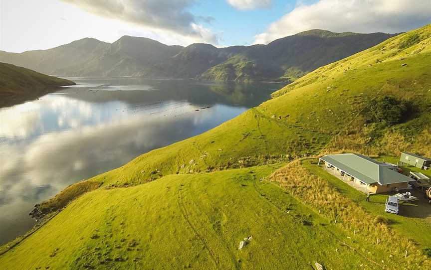 Go Dive Pacific, Picton, New Zealand