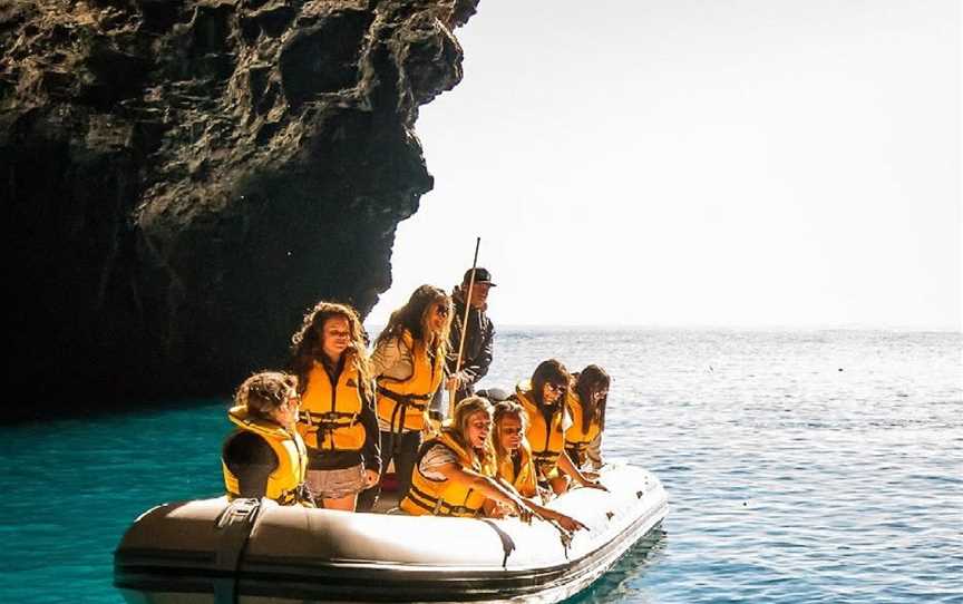 Hahei Explorer Cathedral Cove Boat Tour , Hahei, New Zealand