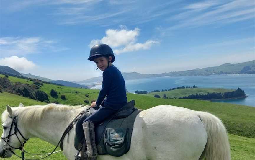 Hare Hill Horse Treks, Port Chalmers, New Zealand