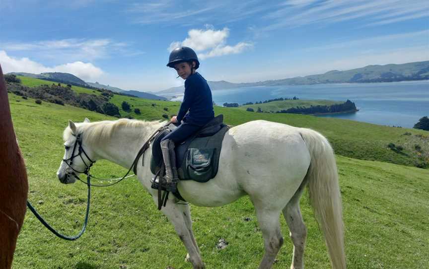 Hare Hill Horse Treks, Port Chalmers, New Zealand