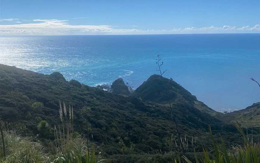 Harrisons Cape Runner, Kaitaia, New Zealand