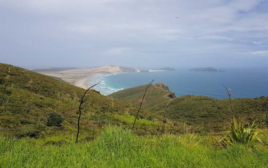 Harrison Cape Reinga Tours, Kaitaia, New Zealand